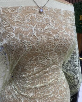 Toyosi Chantilly Lace - Image 4