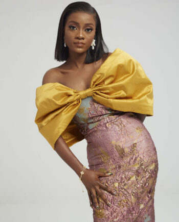 Mocheda Brocade - Image 6